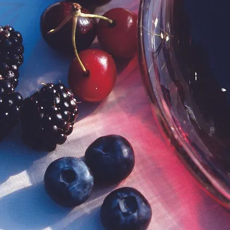 Szálloda Mercure Am Muenster